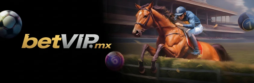 betvip-banner